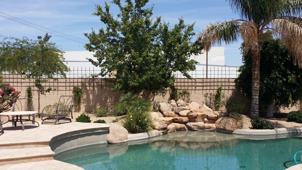 Gallery Arizona Trellis Gardening Trellises